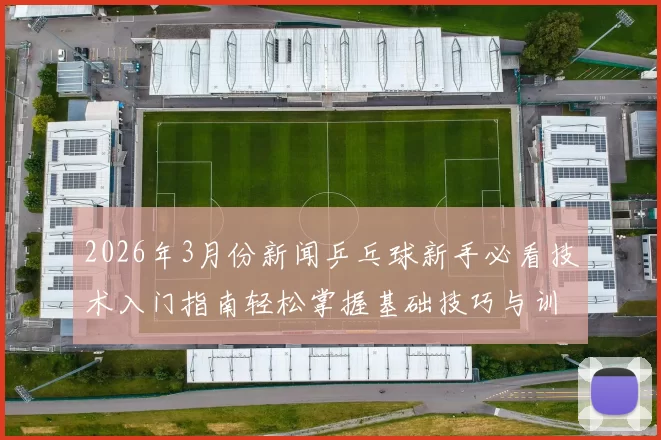 2026年3月份新闻乒乓球新手必看技术入门指南轻松掌握基础技巧与训练方法